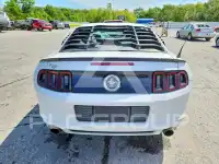 2014 Ford MUSTANG photo