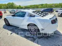 2014 Ford MUSTANG photo
