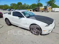 2014 Ford MUSTANG photo