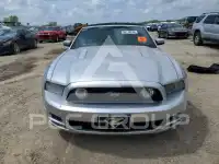 2014 Ford MUSTANG photo
