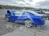 2014 Ford MUSTANG фото