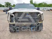 2014 Ford F-250 photo