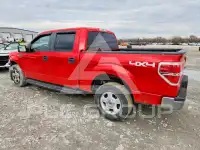 2014 Ford F-150 photo