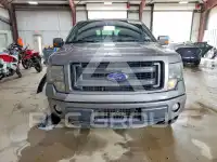 2014 Ford F-150 photo