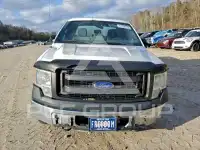 2014 Ford F-150 photo