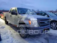 2014 Ford F-150 фото