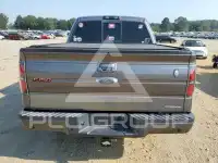 2014 Ford F-150 photo