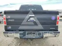2014 Ford F-150 photo