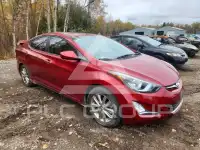 2014 Hyundai Elantra фото