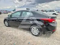 2014 Hyundai Elantra photo