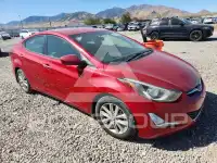 2014 Hyundai Elantra photo
