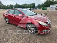 2014 Hyundai Sonata photo