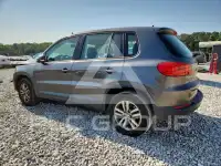 2014 Volkswagen Tiguan фото