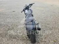 2015 Harley-Davidson  photo