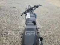2015 Harley-Davidson  photo