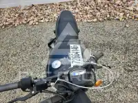 2015 Harley-Davidson  photo