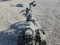 2015 Harley-Davidson Sportster120 фото