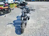 2015 Ducati Monster photo