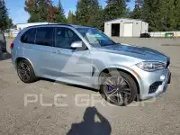 2015 BMW X5 фото