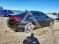 2015 Acura TLX фото