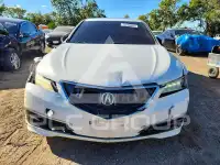 2015 Acura TLX photo