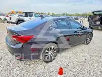 2015 Acura TLX фото