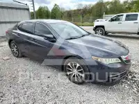2015 Acura TLX фото