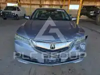 2015 Acura TLX photo