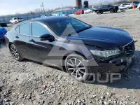 2015 Acura TLX photo