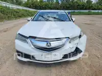 2015 Acura TLX фото