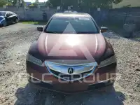 2015 Acura TLX photo
