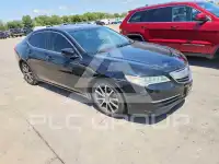 2015 Acura TLX photo