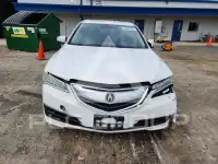 2015 Acura TLX фото
