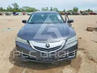 2015 Acura TLX photo
