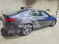 2015 Acura TLX photo