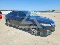 2015 Acura TLX фото