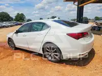 2015 Acura TLX фото