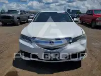 2015 Acura TLX photo