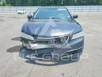 2015 Acura TLX фото