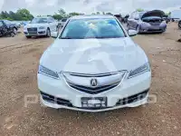 2015 Acura TLX photo