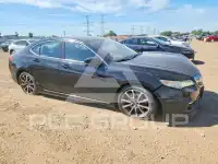 2015 Acura TLX фото