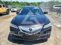 2015 Acura TLX photo