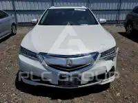 2015 Acura TLX photo