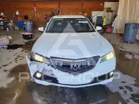 2015 Acura TLX photo