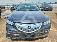 2015 Acura TLX фото