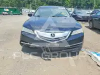 2015 Acura TLX photo