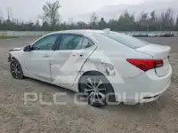 2015 Acura TLX photo