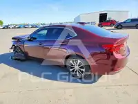 2015 Acura TLX photo