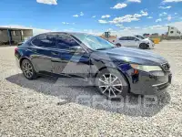2015 Acura TLX photo