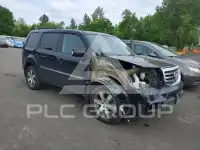 2015 Honda PILOT photo